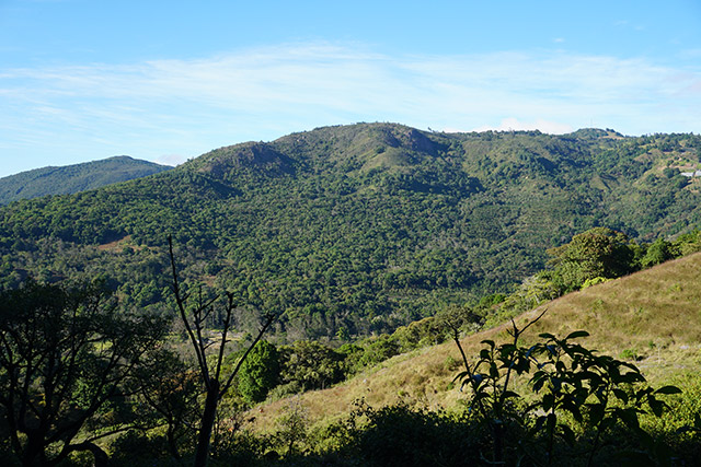 HACIENDA COPEY