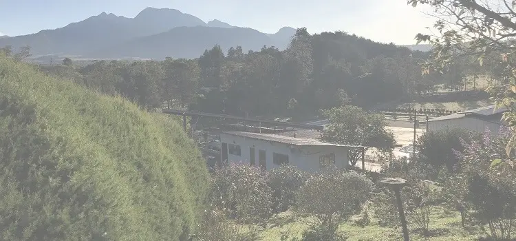 JANSON – GESHARY COFFEE – ゲシャリーコーヒー