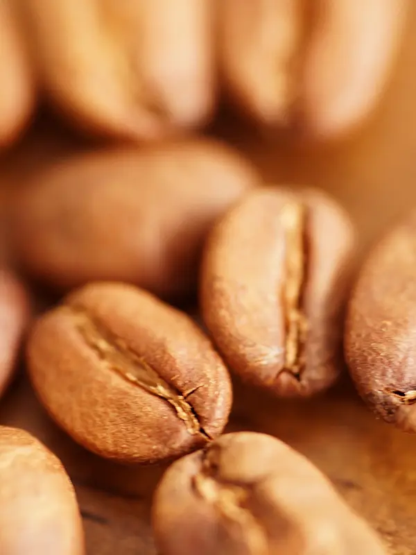 GESHARY COFFEE – ゲシャリーコーヒー GESHARY COFFEE – ゲシャリーコーヒー