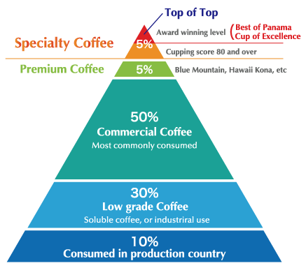 What is Specialty Coffee?